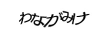Authentication image